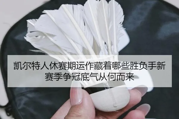 凯尔特人休赛期运作藏着哪些胜负手新赛季争冠底气从何而来 | lejingsports